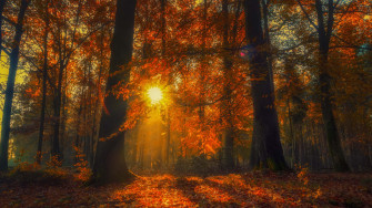 4k Fall Wallpaper