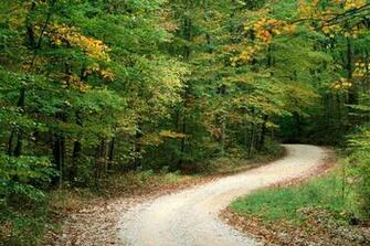 Nature Wallpaper