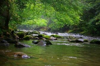 Smokey Mountain Stream Vetor