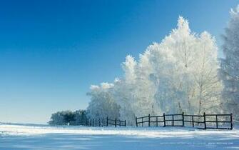 Winter Christmas Wallpaper Grasscloth