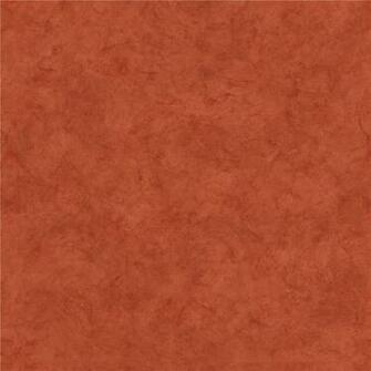 Fg661813 Belair Studios By Brewster Field Guide Red