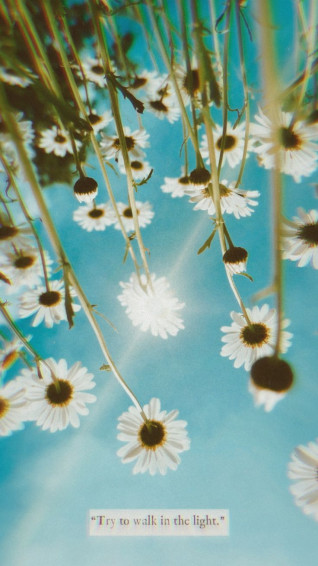 Aesthetic Wallpaper Spring Instagram