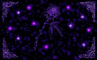 Purple Passion Rose Wallpaper By Silverperfume