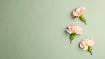 Sage Green Wallpaper