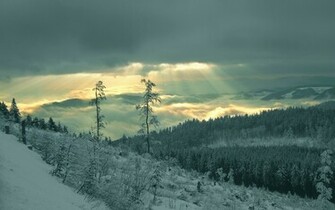 Winter Sun Wallpaper