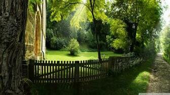 Summer Nature Wallpaper Full HD