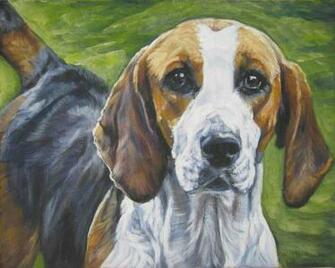 English Foxhound Dog Photo And Wallpaper Beautiful