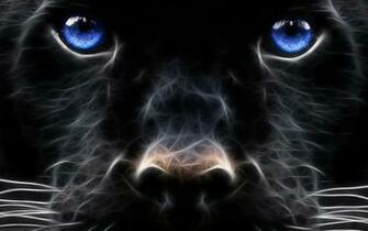 Black Jaguar Wallpaper