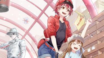 Cells At Work Red Blood Cell Platelet HD 4k Wallpaper