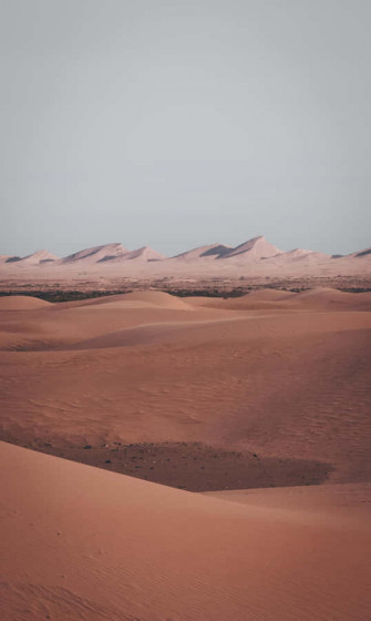 Desert Aesthetic Wallpaper
