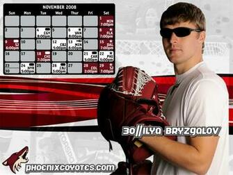 Phoenix Coyotes Wallpaper Arizona Multimedia
