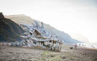 Game Of Thrones Dragon Skull Skeleton Bones Beach Fantasy Dragons