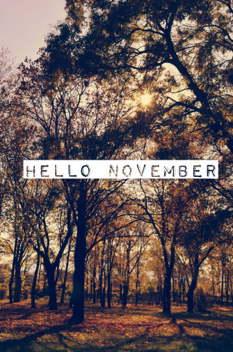 November iPhone Wallpaper