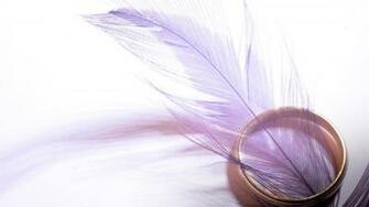 4k HD Wallpaper Purple Feather And Gold Ring