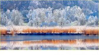 Cool Winter Background For Android Apk