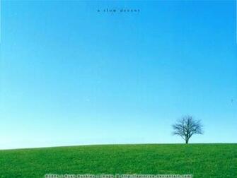 A Slow Descent Wallpaper By Apinrise