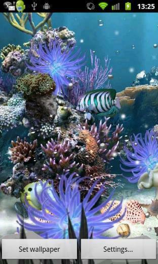 Coral Reef Lite Aqua Live Android Apps On Google Play