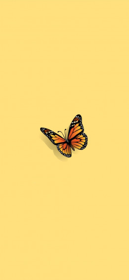 Butterfly iPhone Wallpaper