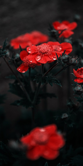 Wallpaper On X 4k For Your Smartphone Lockscreen And