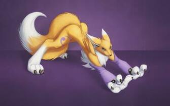 Renamon Digimon Furry Fandom Wallpaper Full HD