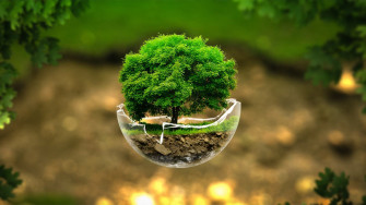Best Nature Wallpaper For Desktop