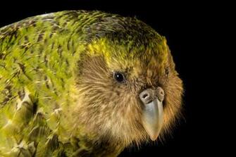 Bir037 Joel Sartore