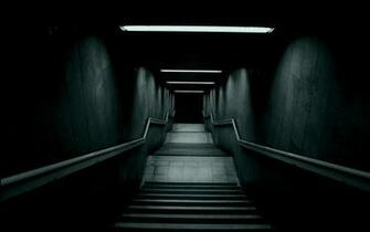Discount Funny Wallpaper Stare Online