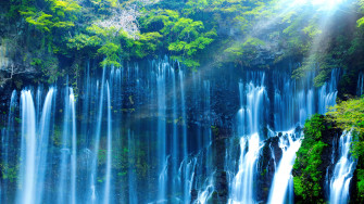 Falls Nature Forest Scenery Wallpaper 4k Pc Desktop 4440b
