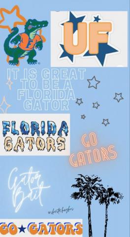 Florida Gator Wallpaper Gators