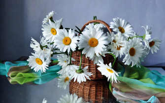 Daisies Flowers Flower Bouquet Beautiful Field Basket Still Life Wallpaper HD