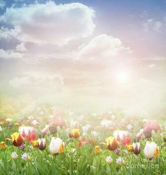 Easter Spring Background By Mythja Photography