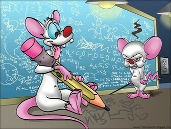 Pinky And The Brain Wallpaper