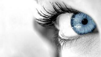 Cctv Security Faqs Places Where You Need HD Surveillance