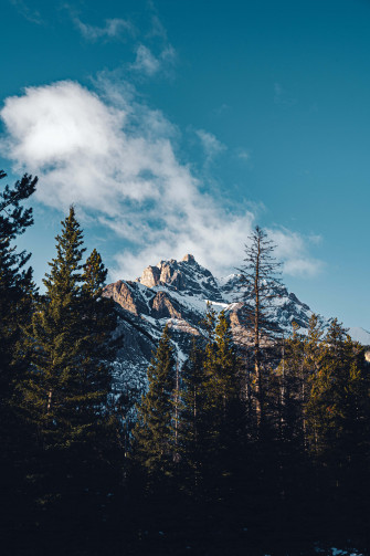 Blue Mountain Forest Wallpaper
