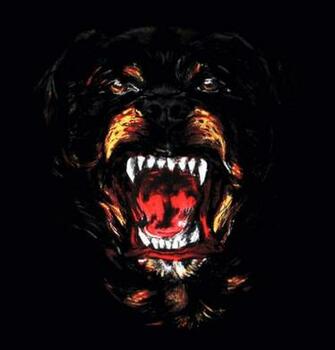 Picture Of Givenchy Rottweiler Kanye West Forum