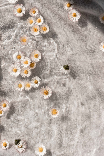 Daisy Aesthetic Computer Light Wallpaper