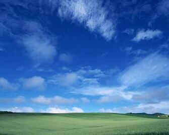 White Wallpaper Blue And