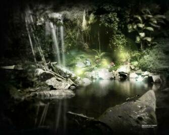 Enchanted Forest Background