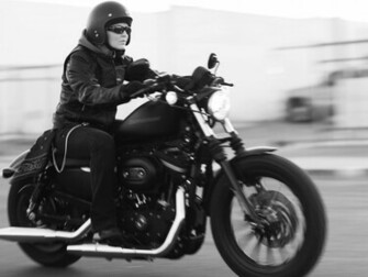 Harley Davidson Sportster Xl883n Iron Pictures