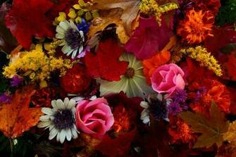 File Autumn Foliage Collage Virginia Forestwander Jpg Wikimedia