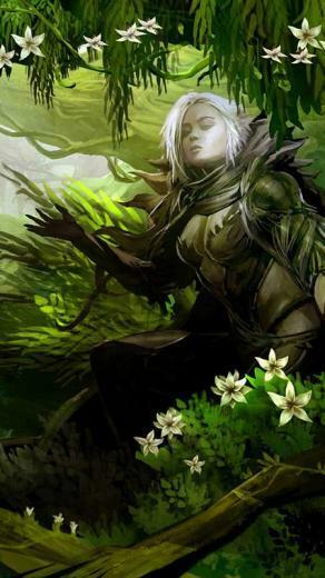 Guild Wars Wallpaper Or Desktop Background