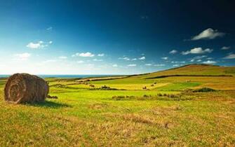 Wallpaper Field Hill Hay Rolled Bale