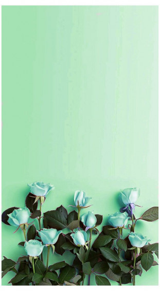 Mint Green Wallpaper For iPhone