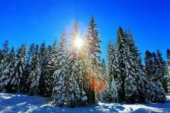 Sunny Winter Day Wallpaper