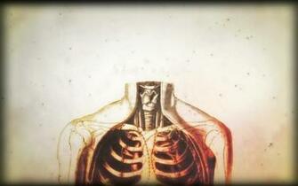Anatomy Human Body House M Wallpaper Background