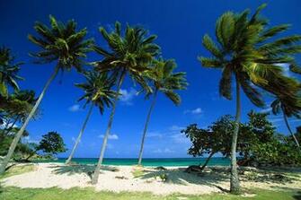 Fonds D Cran Punta Cana Tous Les Wallpaper