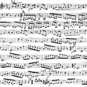 Black And White Music Notes Wallpaper Inspirationz Spoonflower
