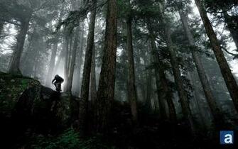 Wallpaper Mountain Wednesday Whistler Kitchen Biking