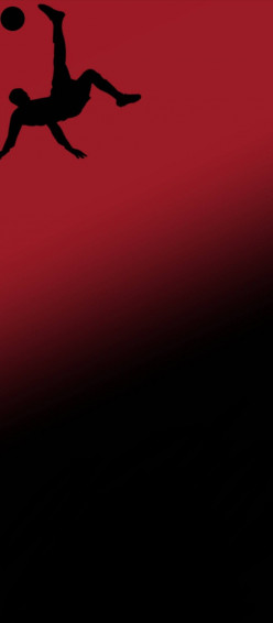 Punch Hole Wallpaper