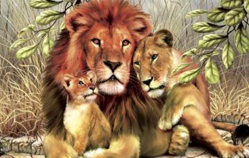 Wallpaper Leaves Lions Family Image For Desktop Section